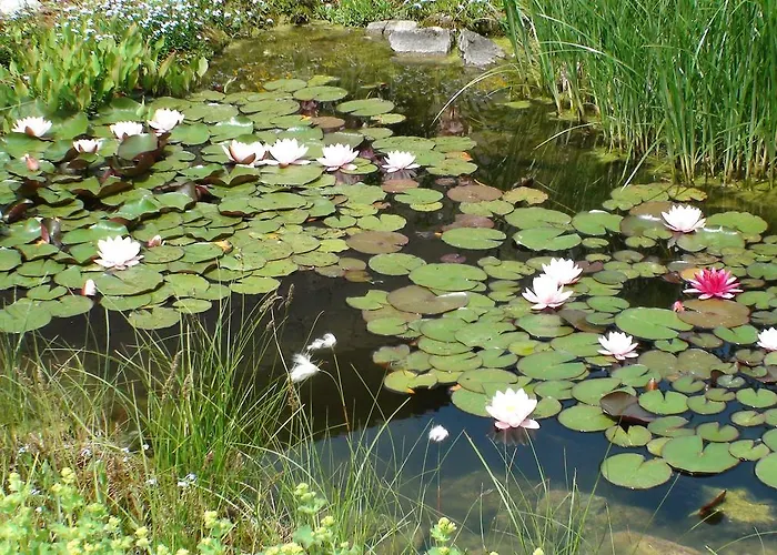 דירה Hassmueller