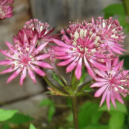 Hassmueller Sulzdorf an der Lederhecke