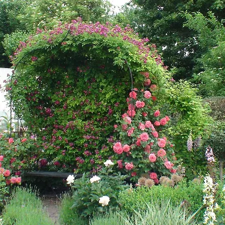 Hassmueller * Sulzdorf an der Lederhecke