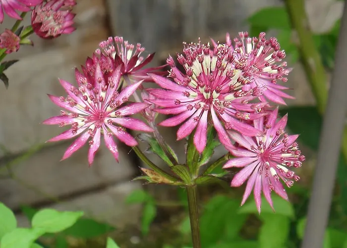 Hassmueller Sulzdorf an der Lederhecke